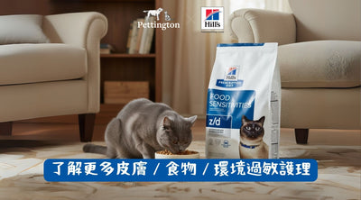 了解更多皮膚 / 食物 / 環境過敏護理