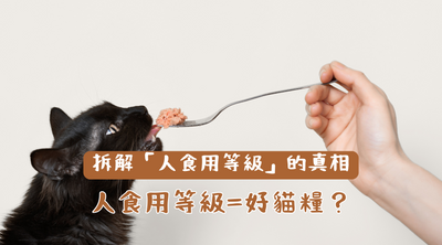 人食用等級=好貓糧？我們幫你拆解真相