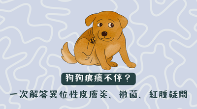 狗狗痕癢不停？Pettington 一次解答異位性皮膚炎、黴菌、紅腫疑問