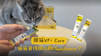 【Pettington 開箱】主子食得開心的 Supplement？VF+ Core 開箱