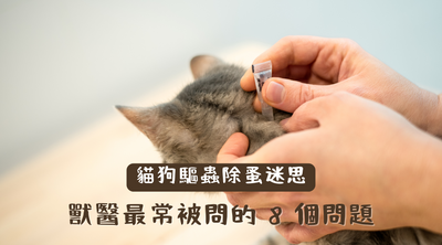 【貓狗驅蟲除蚤迷思】獸醫最常被問的 8 個問題