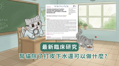 最新臨床研究：腎病貓貓除了打皮下水還可以做什麼? (重點懶人包)