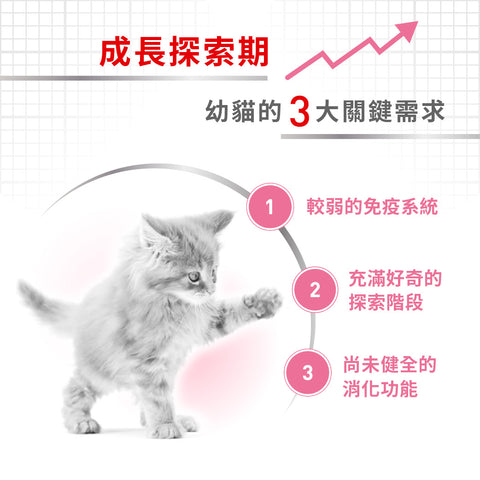 Royal Canin 法國皇家 幼貓乾糧 - 幼貓配方CAT KITTEN DRY