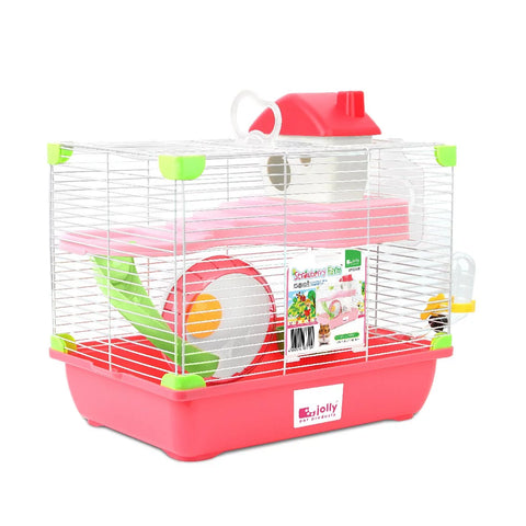 Jolly Strawberry Farm (Economy Packaging)