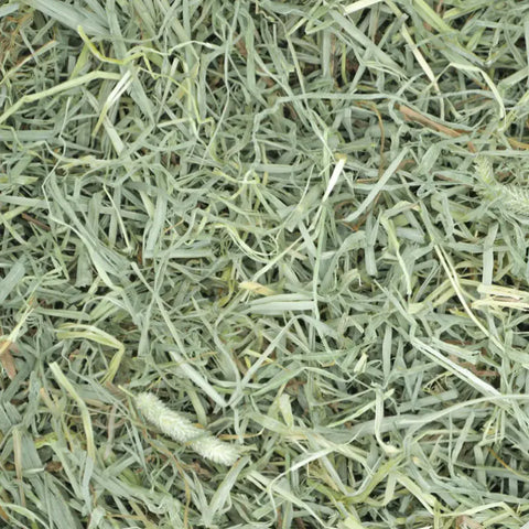 Oxbow Extra Soft Timothy Grass - 20oz