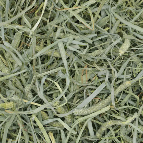 Oxbow Extra Crunchy Timothy Weed - 20oz