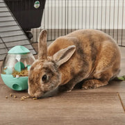 Oxbow Enriched Life Active Feeding Ball