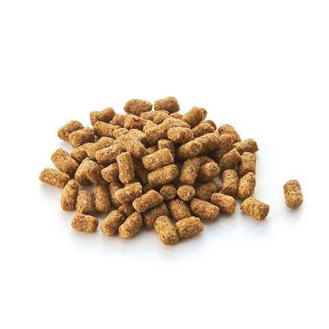 Marukan High Protein Low Fat Hedgehog Food - 1kg
