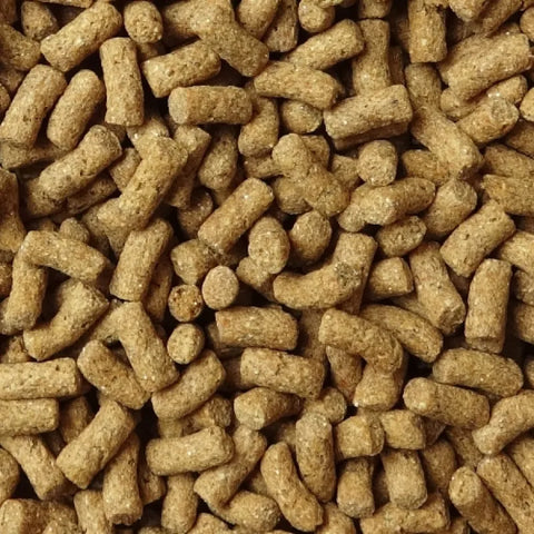 NPF Gold Hedgehog Food - 350g (50g x 7 packs)