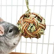 Jolly Timothy Grass Ball