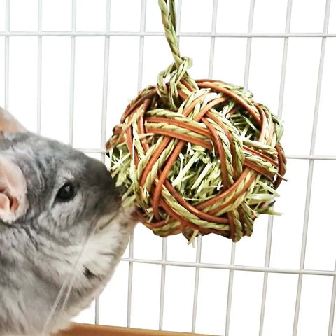 Jolly Timothy Grass Ball