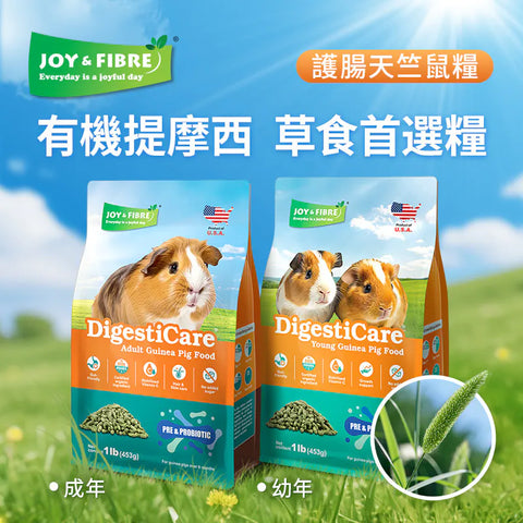 Joy &amp; Fibre® Guinea Pig Food for Adults - 1lb