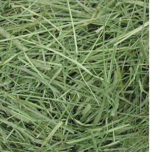 Gex Timothy Grass - 500g