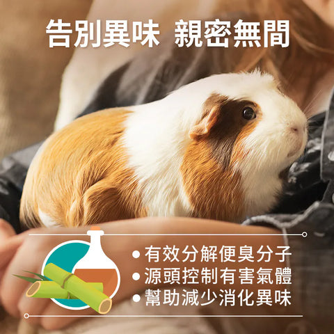 Joy &amp; Fibre® Guinea Pig Food for Adults - 1lb