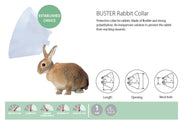 BUSTER 兔仔膠頸圈 Buster Rabbit Collar (5cm)