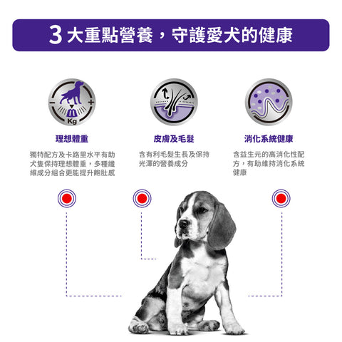 Royal Canin - 成犬絕育處方糧 Canine "Neutered" Adult Medium