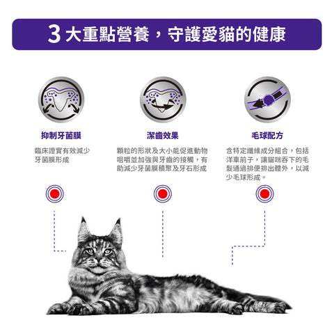 Royal Canin - 貓潔齒配方獸醫處方糧 / "Dental" For Cats