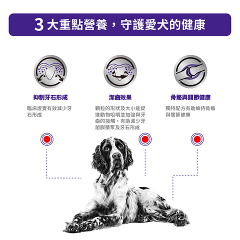 Royal Canin - 成犬潔齒配方處方糧 6kg / Canine Dental 6kg