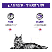 ROYAL CANIN 法國皇家 成貓獸醫配方 2公斤 Cat Adult 2kg