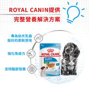 Royal Canin 法國皇家幼犬濕糧 - 小型幼犬 (肉汁) DOG MINI PUPPY WET 85g