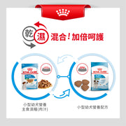 Royal Canin 法國皇家幼犬濕糧 - 小型幼犬 (肉汁) DOG MINI PUPPY WET 85g