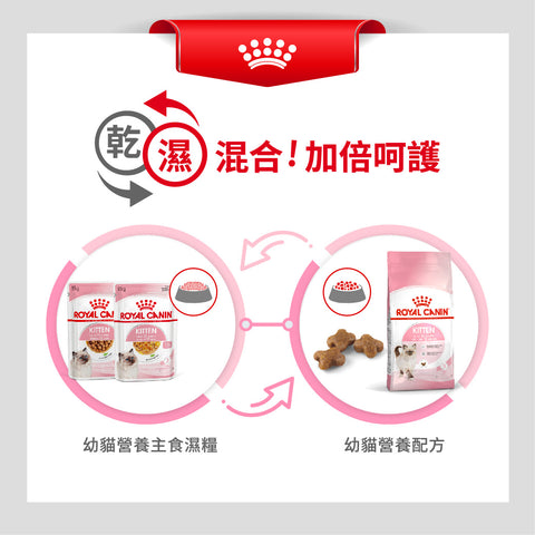 Royal Canin 法國皇家 幼貓乾糧 - 幼貓配方CAT KITTEN DRY