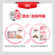 Royal Canin 法國皇家貓濕糧 - 離乳母貓及初生貓(肉塊)配方 Cat Mother & Babycat Wet 195g