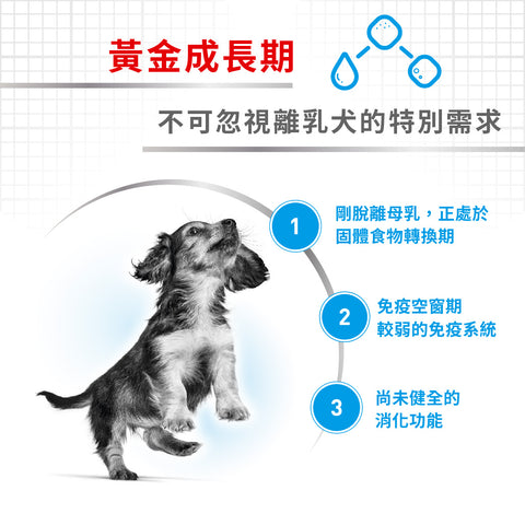 Royal Canin 法國皇家狗濕糧 - 授乳母犬及初生犬 (慕斯) 195g