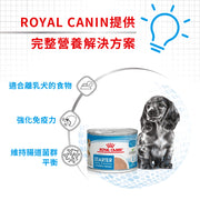 Royal Canin 法國皇家狗濕糧 - 授乳母犬及初生犬 (慕斯) 195g