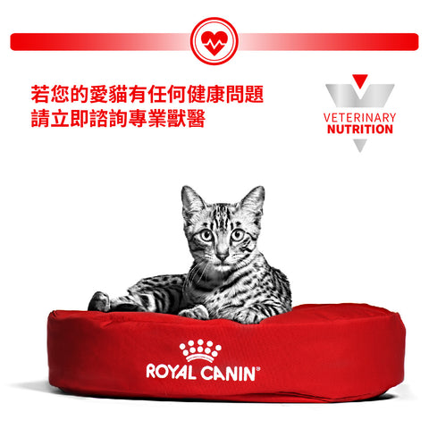 Royal Canin - Vet Health Management - Wet Food For Neutered Maintenance Cats 絕育貓體重維持健康管理濕糧- 85G