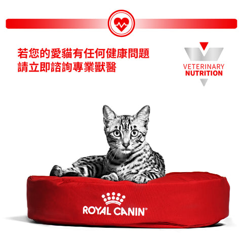 Royal Canin - 絕育貓飽足感健康管理袋裝濕糧（肉汁）Cat Neutered Balance