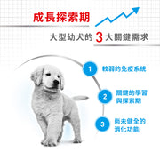 Royal Canin 法國皇家幼犬乾糧 - 大型幼犬營養配方 DOG PUPPY MAXI DRY