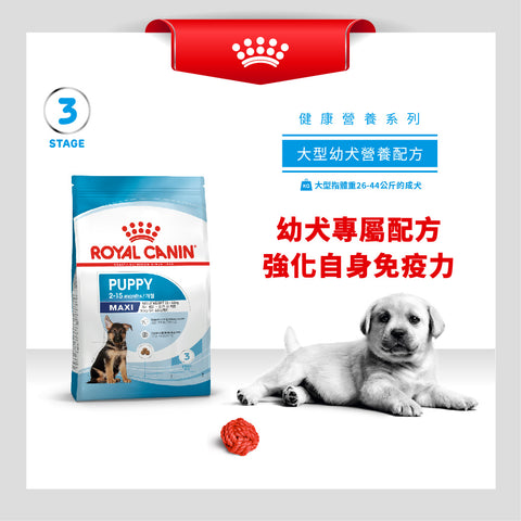 Royal Canin 法國皇家幼犬乾糧 - 大型幼犬營養配方 DOG PUPPY MAXI DRY