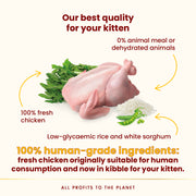 Almo Nature HFC Kitten Food - Fresh Chicken 1.2kg