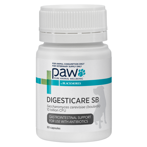[特價品] PAW - DigestiCare 小型犬腸道護理 30粒裝 (Digestive Supplement For Small Breed Dogs) 30 Capsules