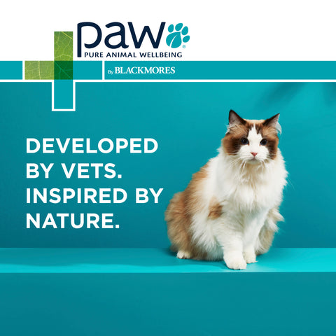 PAW - Osteosupport (Joint Supplement For Cats) 60 Capsules