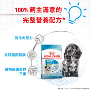 Royal Canin 法國皇家幼犬乾糧 - 小型幼犬營養配方 DOG MINI PUPPY DRY