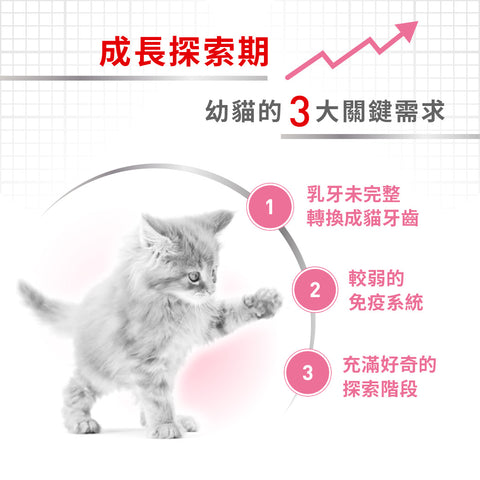 Royal Canin 法國皇家 幼貓濕糧 - 幼貓 (啫喱) CAT KITTEN WET (JELLY) 85g