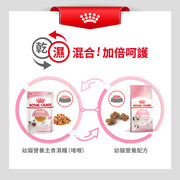 Royal Canin 法國皇家 幼貓濕糧 - 幼貓 (啫喱) CAT KITTEN WET (JELLY) 85g