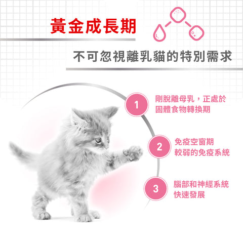 Royal Canin 法國皇家貓濕糧 - 離乳母貓及初生貓(肉塊)配方 Cat Mother & Babycat Wet 195g