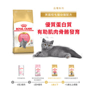 Royal Canin 法國皇家幼貓乾糧 - 英國短毛幼貓 British Shorthair Kitten