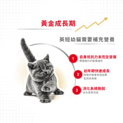 Royal Canin 法國皇家幼貓乾糧 - 英國短毛幼貓 British Shorthair Kitten