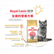 Royal Canin 法國皇家幼貓乾糧 - 英國短毛幼貓 British Shorthair Kitten