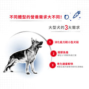 Royal Canin 法國皇家狗乾糧 - 大型成犬營養配方 Maxi Adult