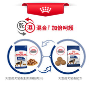 Royal Canin 法國皇家狗乾糧 - 大型成犬營養配方 Maxi Adult