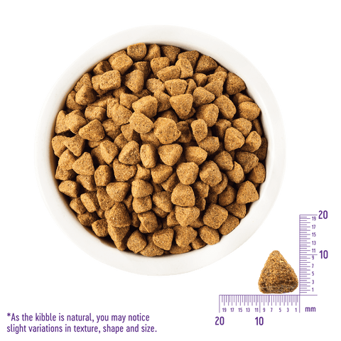 Wellness Complete Adult Dog Dry Food - Weight Loss Formula