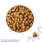 Wellness Complete Adult Dog Dry Food - Grain Free Lamb 24lb