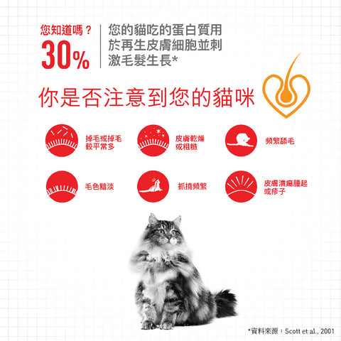 Royal Canin 法國皇家貓乾糧 - 亮毛及皮膚健康配方 Hair & Skin Care