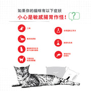 Royal Canin 法國皇家貓乾糧 - 消化道健康成貓 Digestive Care