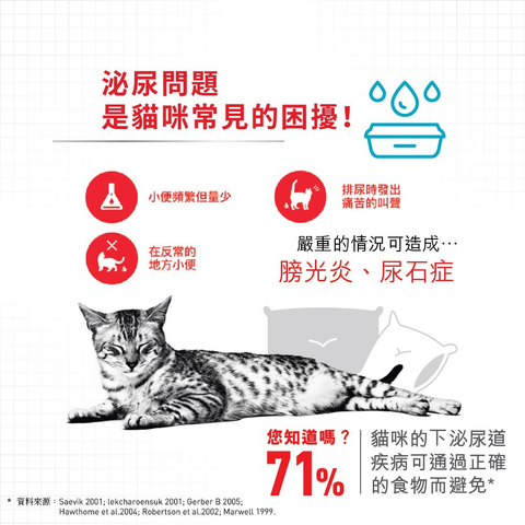 Royal Canin 法國皇家貓乾糧 - 泌尿道健康成年貓 Urinary Care